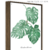 Quadro - Monstera Deliciosa - comprar online