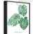 Imagem do Quadro - Monstera Deliciosa