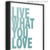 Imagem do Quadro - Live what you love