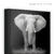 quadro elegante elefante, animais selvagens, africa, africano, big five, fotografia elefante