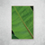Banana Leaf II - O2 Arts Quadros Personalizados