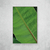 Banana Leaf II - loja online