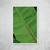 Banana Leaf II - comprar online