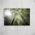 Bamboos Sunlight - O2 Arts Quadros Personalizados