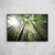 Bamboos Sunlight - O2 Arts Quadros Personalizados