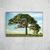 Beautifull tree - loja online