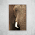 Elefante I - loja online
