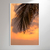 Palm Tree Sunset II - Artista: Rodrigo Coutinho Martins - comprar online