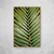 Palm Leaf IV na internet
