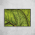 Green Leaf Veins IV - O2 Arts Quadros Personalizados