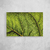 Green Leaf Veins IV - loja online