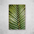 Imagem do Palm Leaf IV