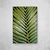 Palm Leaf IV