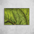 Green Leaf Veins IV - comprar online