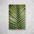 Palm Leaf IV - O2 Arts Quadros Personalizados