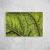 Green Leaf Veins IV - O2 Arts Quadros Personalizados