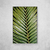 Imagem do Palm Leaf IV