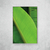 Banana Leaf - loja online