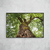 Look Up Tree - loja online