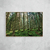 Light Forest - O2 Arts Quadros Personalizados