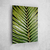 Palm Leaf IV