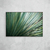 Agave II - loja online