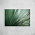 Agave II - comprar online