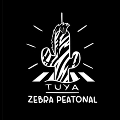 Imagen de ZEBRA PEATONAL