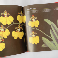 Imagen de LIBRO FLORES NATIVAS