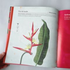 LIBRO FLORES NATIVAS - comprar online