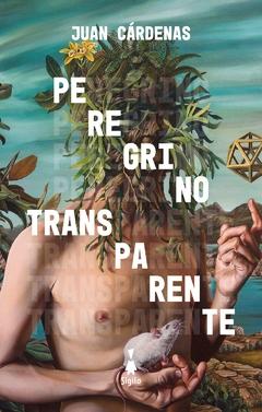 Peregrino transparente - Juan Cárdenas