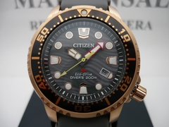 Citizen Promaster Eco Drive Bn0163-00e Fotos Reales - comprar online