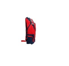 Mochila Oficial San lorenzo Ciclon 18 pulg - SL081 - comprar online