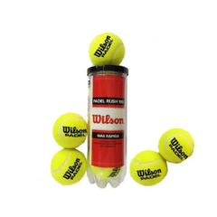 Pelota tenis wilson Tubo de 3 - 1365