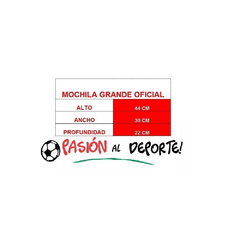 Mochila Argentinos Juniors Oficial Reusch - RAJ053 - PASION AL DEPORTE