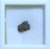 Imagem do Meteorito NWA 7976 - Condrito Enstatita EH W4