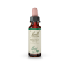 Floral de Bach Walnut 10ml - comprar online