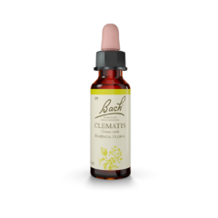 Floral de Bach Clematis 10ml - comprar online