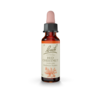 Floral de Bach Red Chestnut 10ml - comprar online