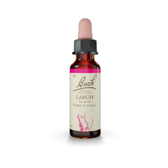 Floral de Bach Larch 10ml - comprar online