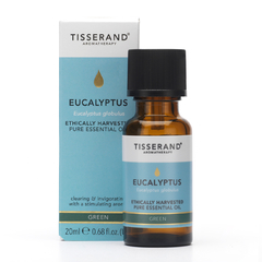 Óleo Essencial de Eucalyptus Globulus Ethically Harvested Tisserand 20ml ( Eucalipto Ético) - comprar online