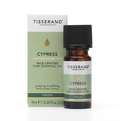 Óleo Essencial Cypress 9ml Tisserand (Cipreste) na internet