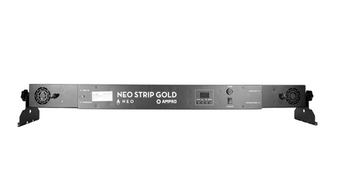 Bañador Neo Strip Gold. Neo