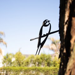 Pájaros Argentinos - Golondrina