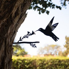 Pájaros Argentinos - Picaflor