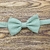 Gravata Borboleta Infantil Verde Menta Textura Pontilhada BI-02012 - Rechia Store - Loja de Gravatas e Acessórios