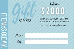 Giftcard $2000 - comprar online