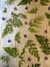 Imagem do Lenço twilly impressão botânica folhas