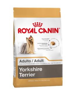 Banner de la categoría Yorkshire Terrier 