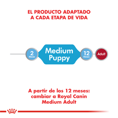 MEDIUM PUPPY | ROYAL CANIN - Oh! Can Pet Shop y Veterinaria